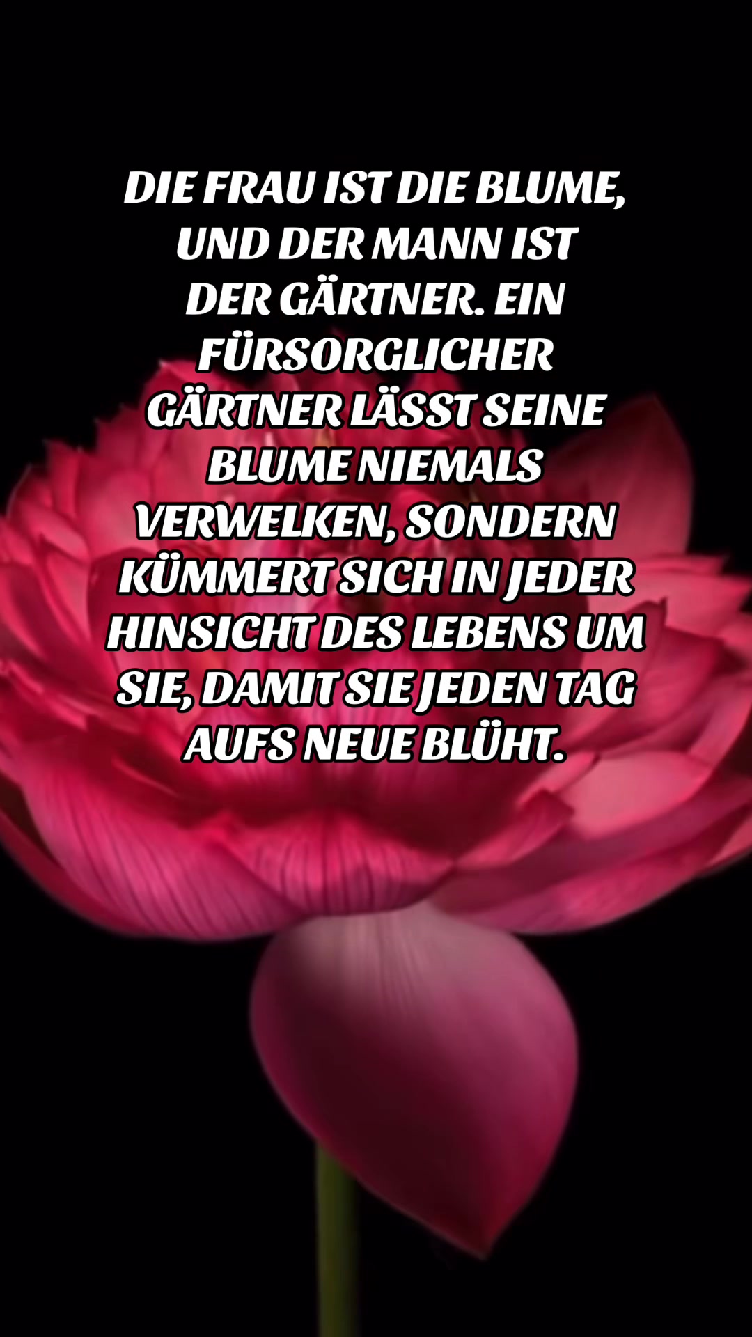 @HUMAN