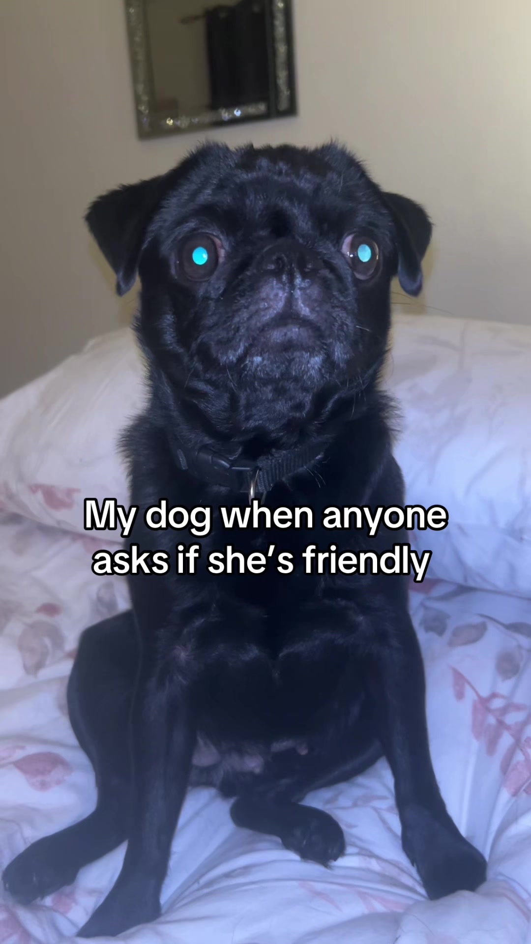 @Zoe ❤️❤️❤️