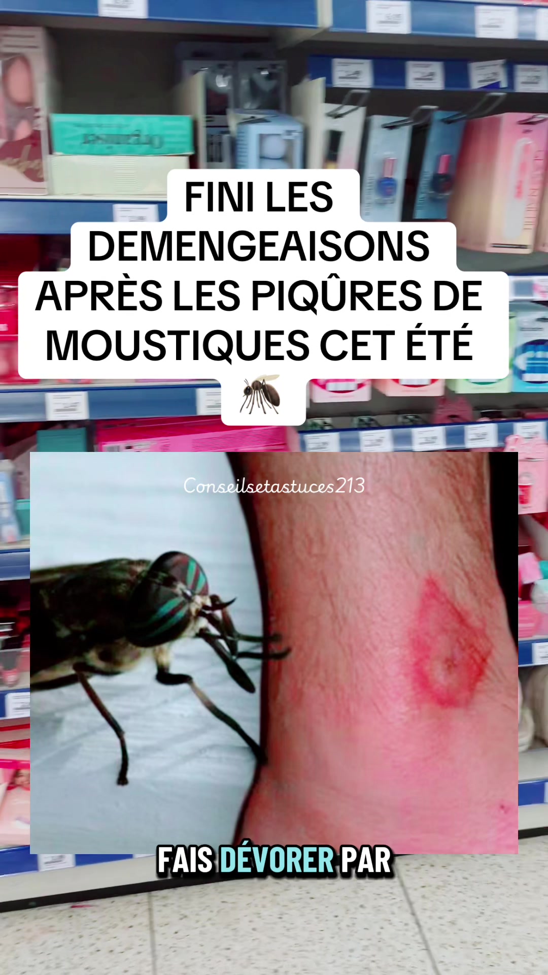 @conseilsetastuces213