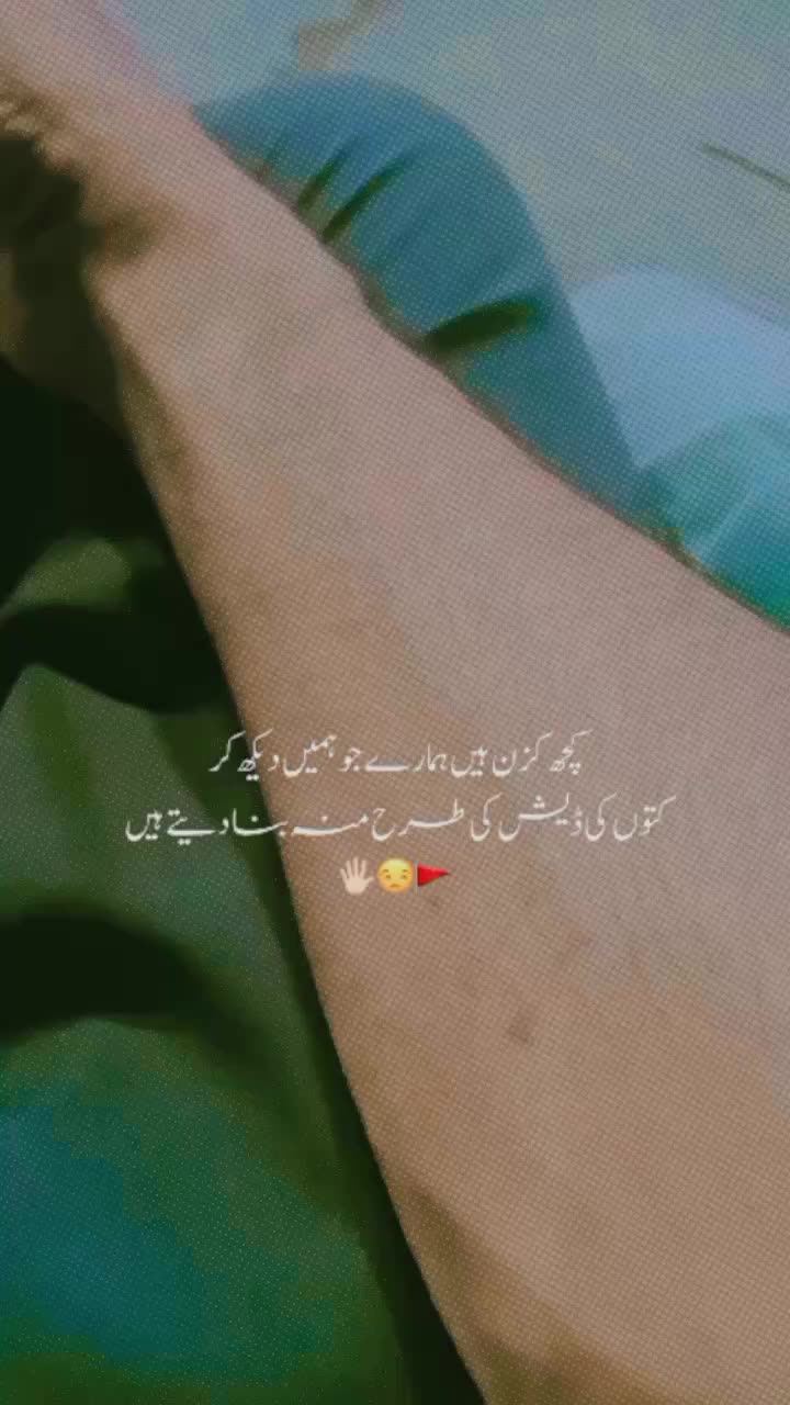 @°♡✧*𝑪𝐡💫D𝐚𝐧𝐢𝐬ℎ*✧♡°