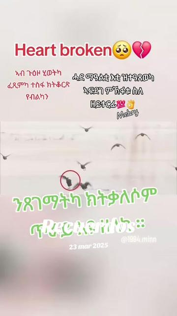 @Z, mebi🎼