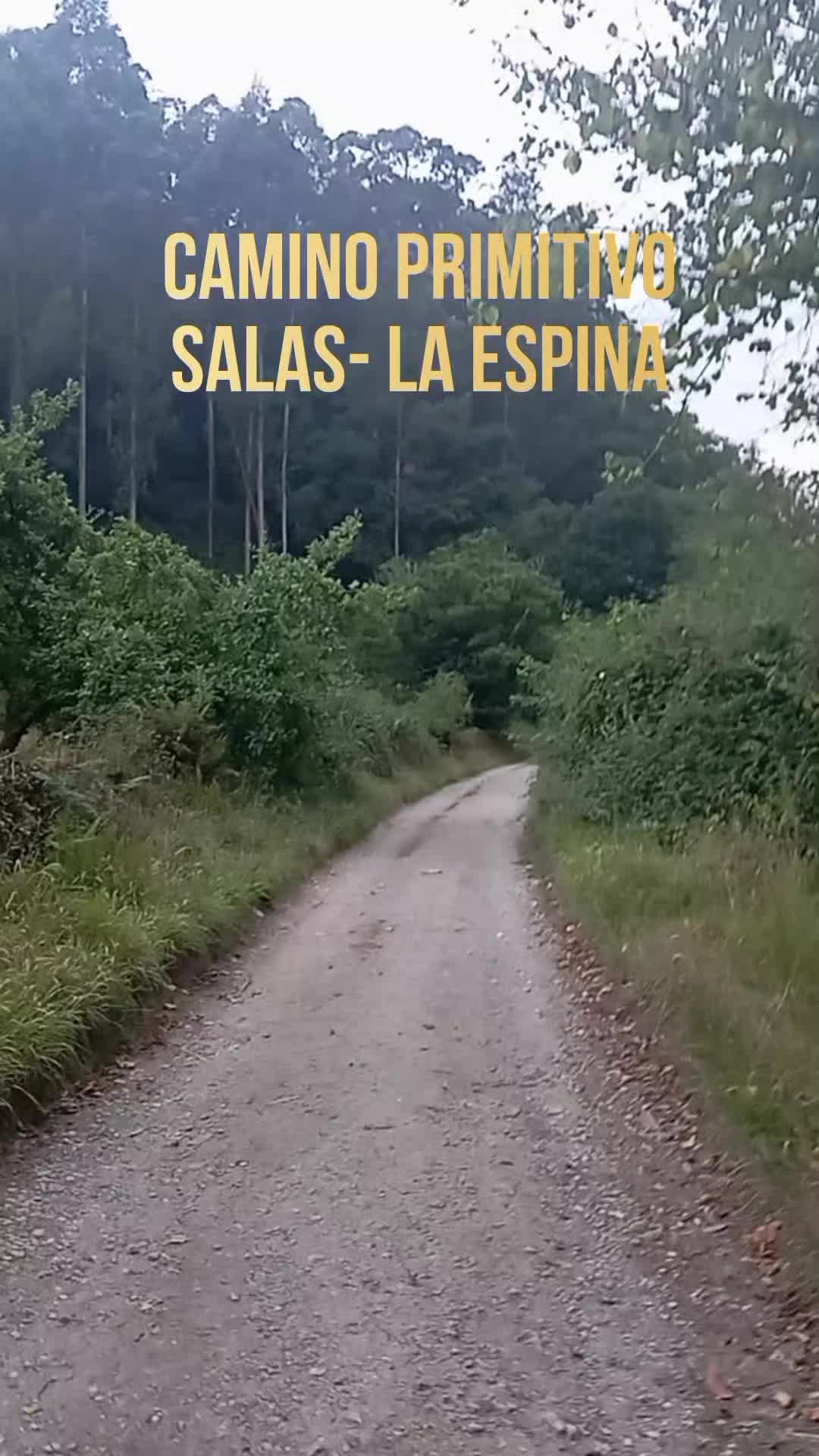 @CAMINOQ+