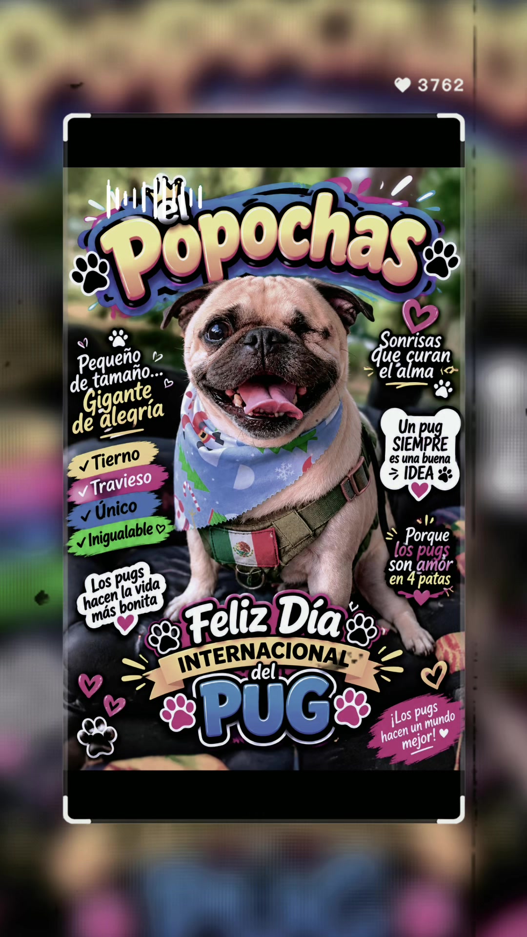 @lavadoraszaucedatijuana