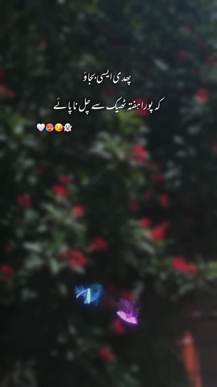 @NOOR 𔘓 / 🫥
