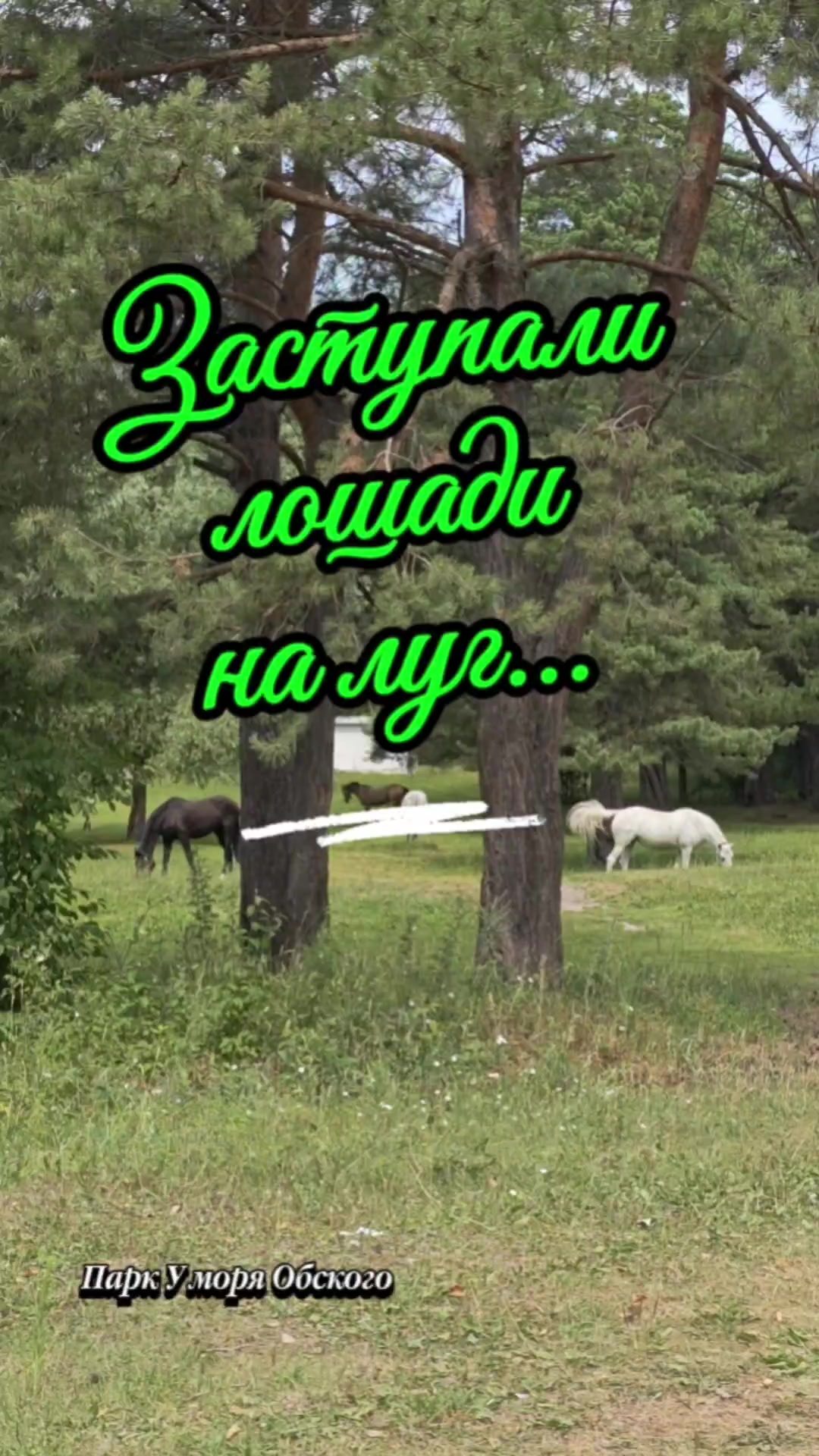 @✨Сибирский мужик ✨