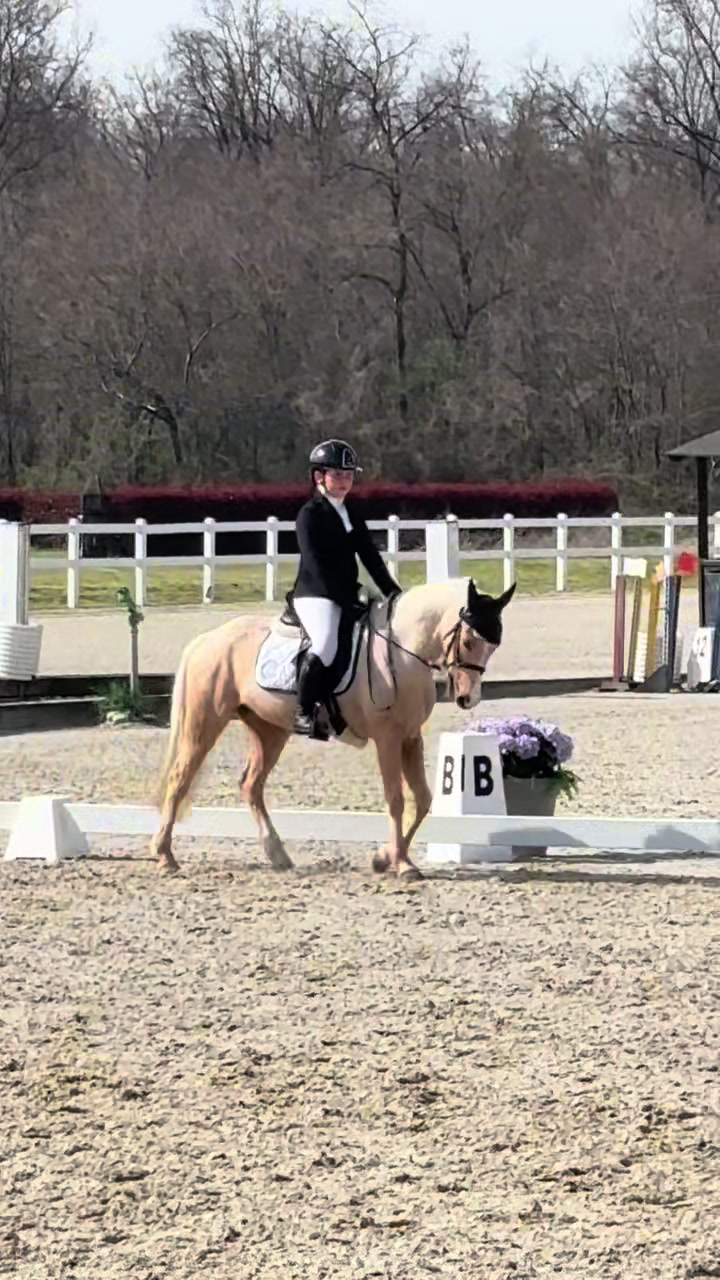 @м&iota;&alpha; 🐴💛