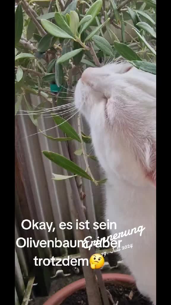 @Sonja