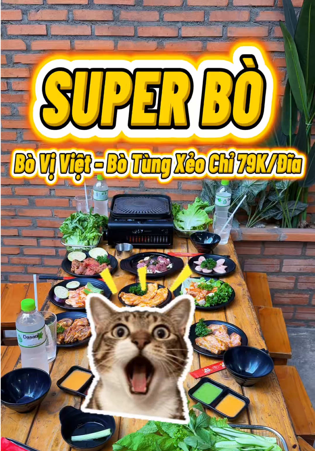 @R&Igrave; VIU B&Igrave;NH DƯƠNG