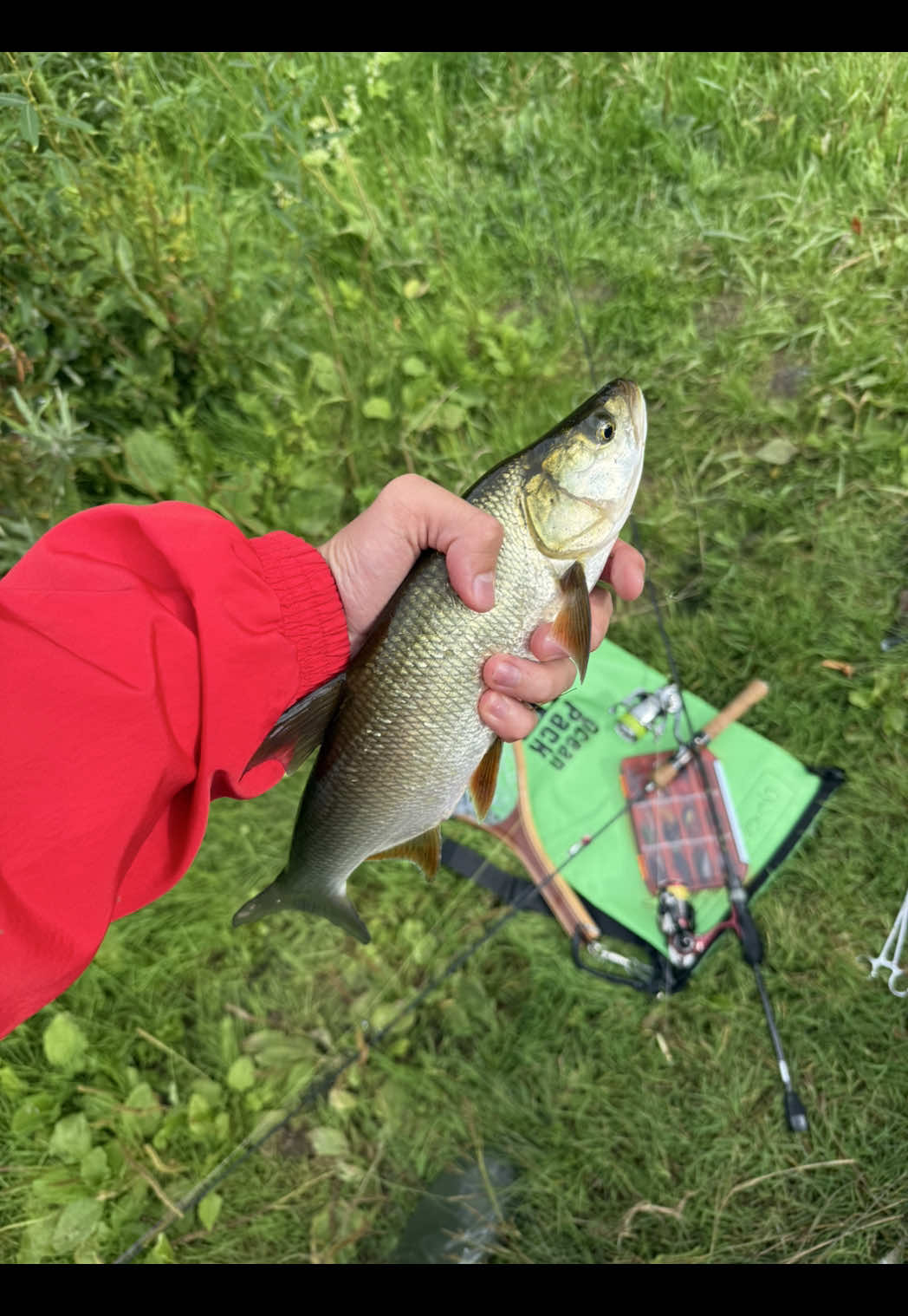 @FE_FISH