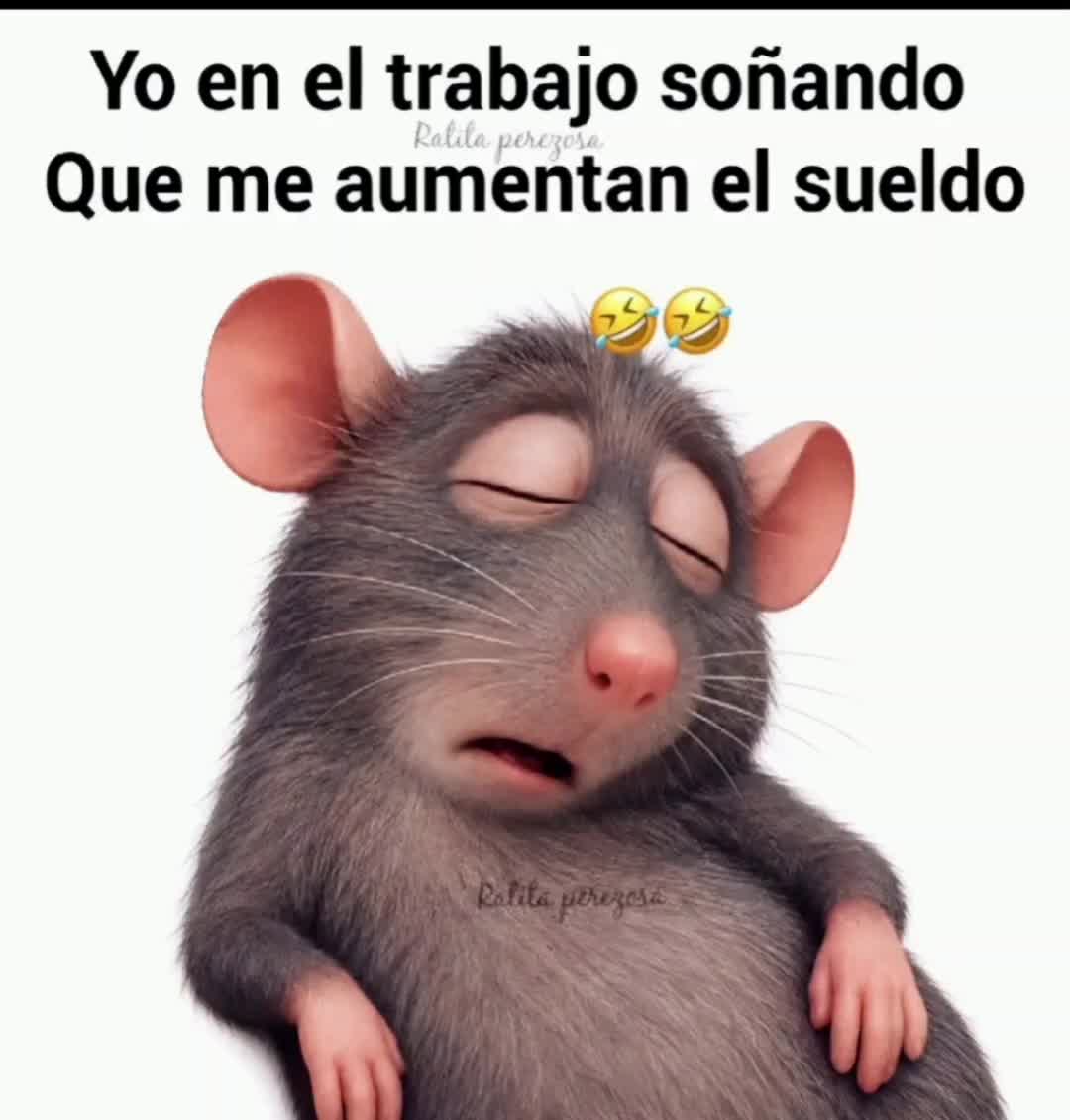 @el panda solitario