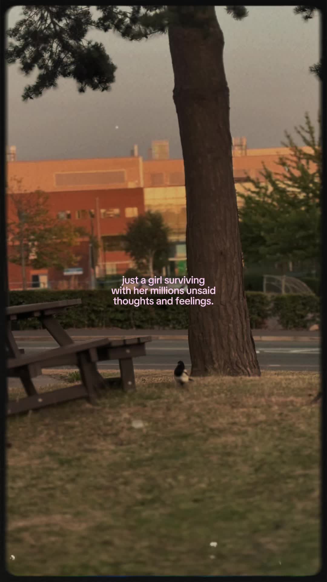 @ellie <3