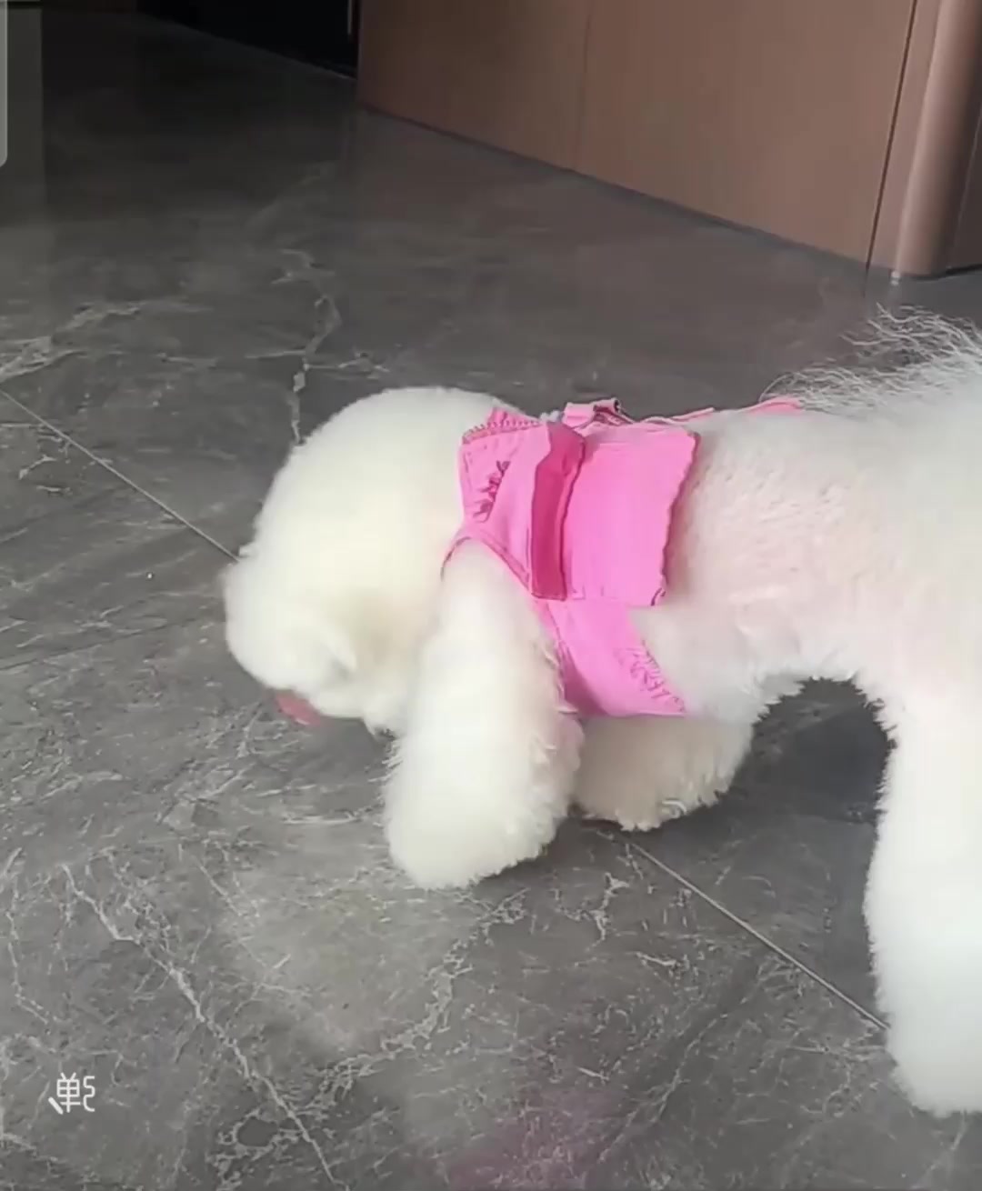@Minnie2024