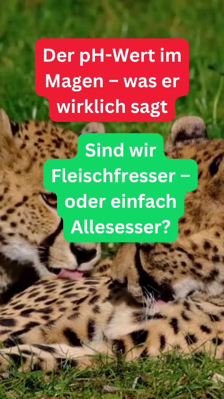 @VitaMetrics