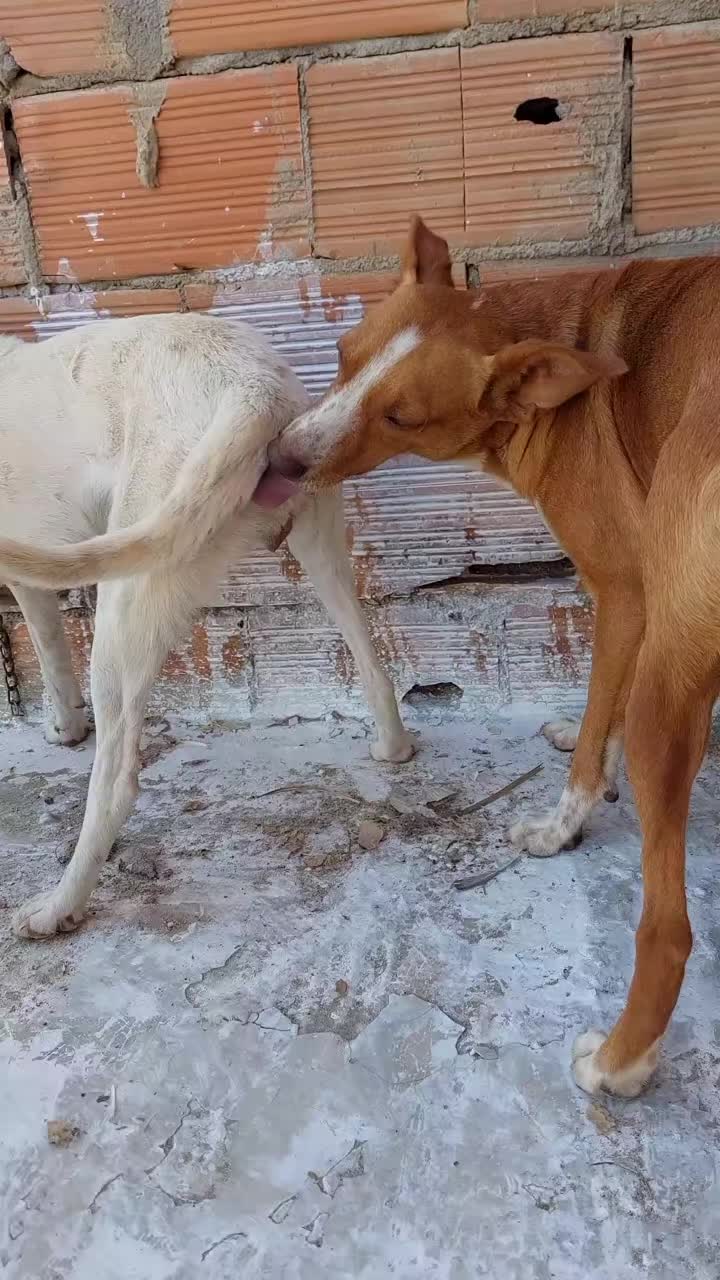 @ehehdhdhd