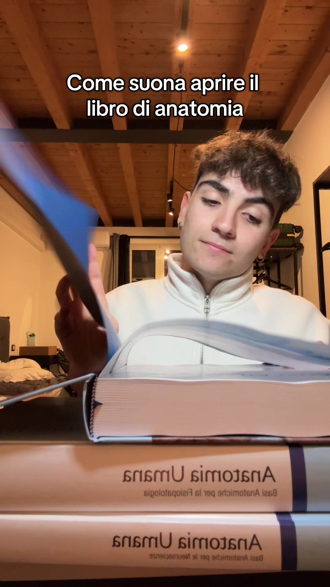 @Leonardo 🪼