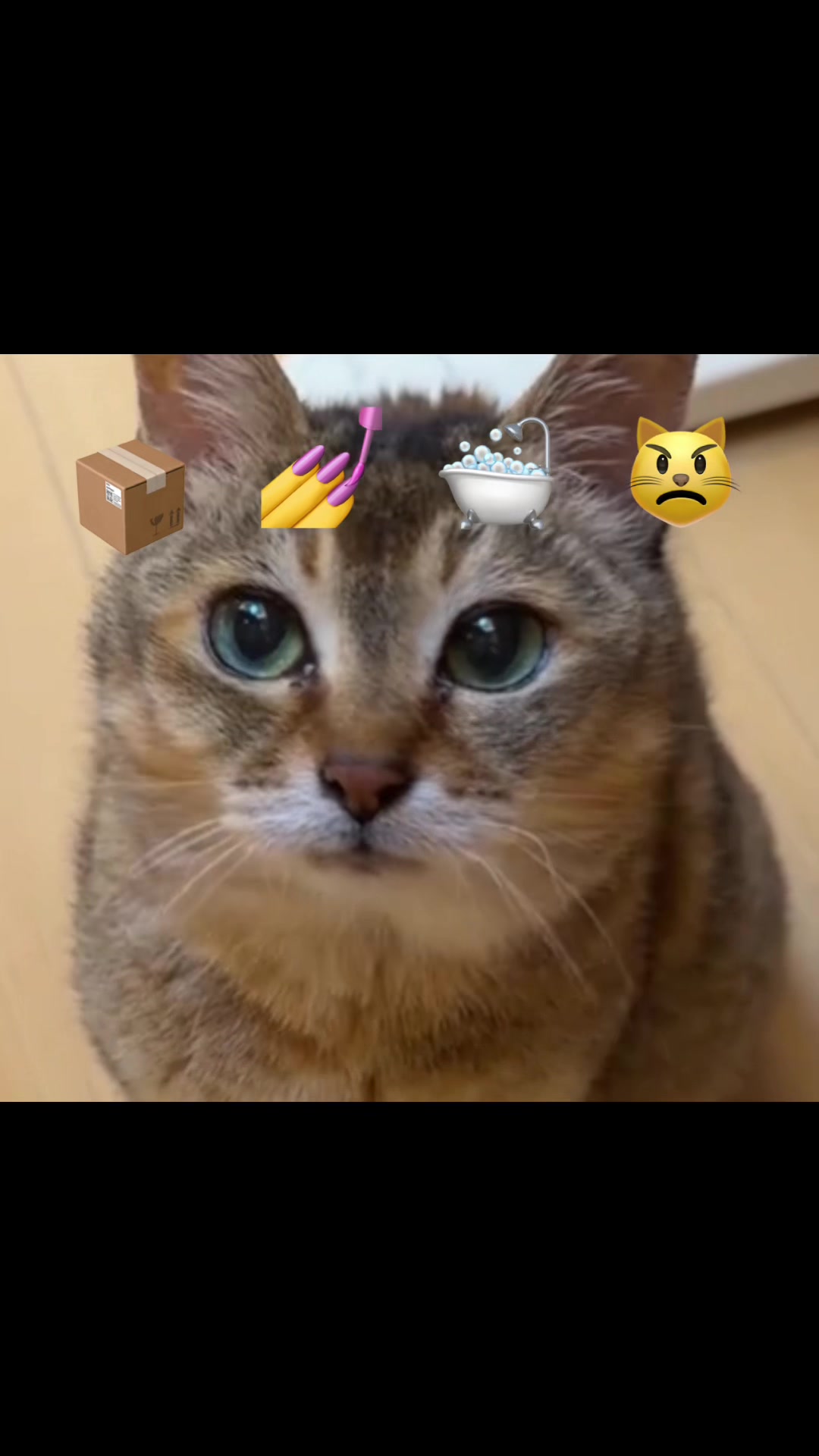 @꒰ঌ ოє𝙞 ოє𝙞⋆.ᶻ𝜗𝜚 ᯓ