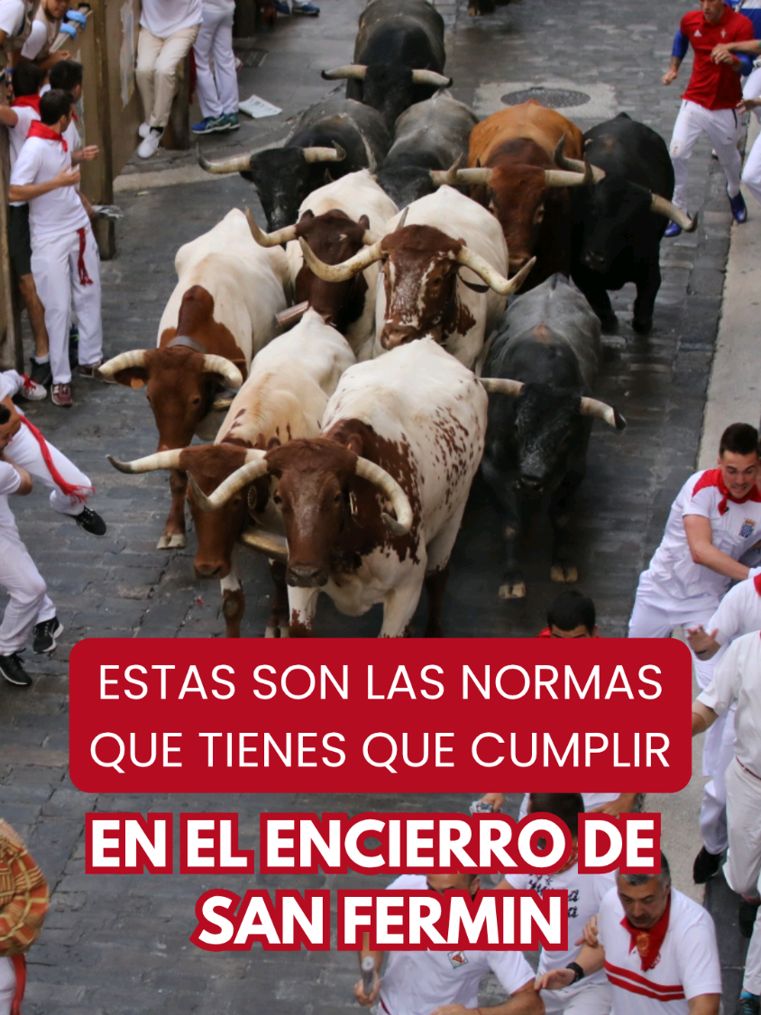 @Patxi Bueno. Primeros Auxilios