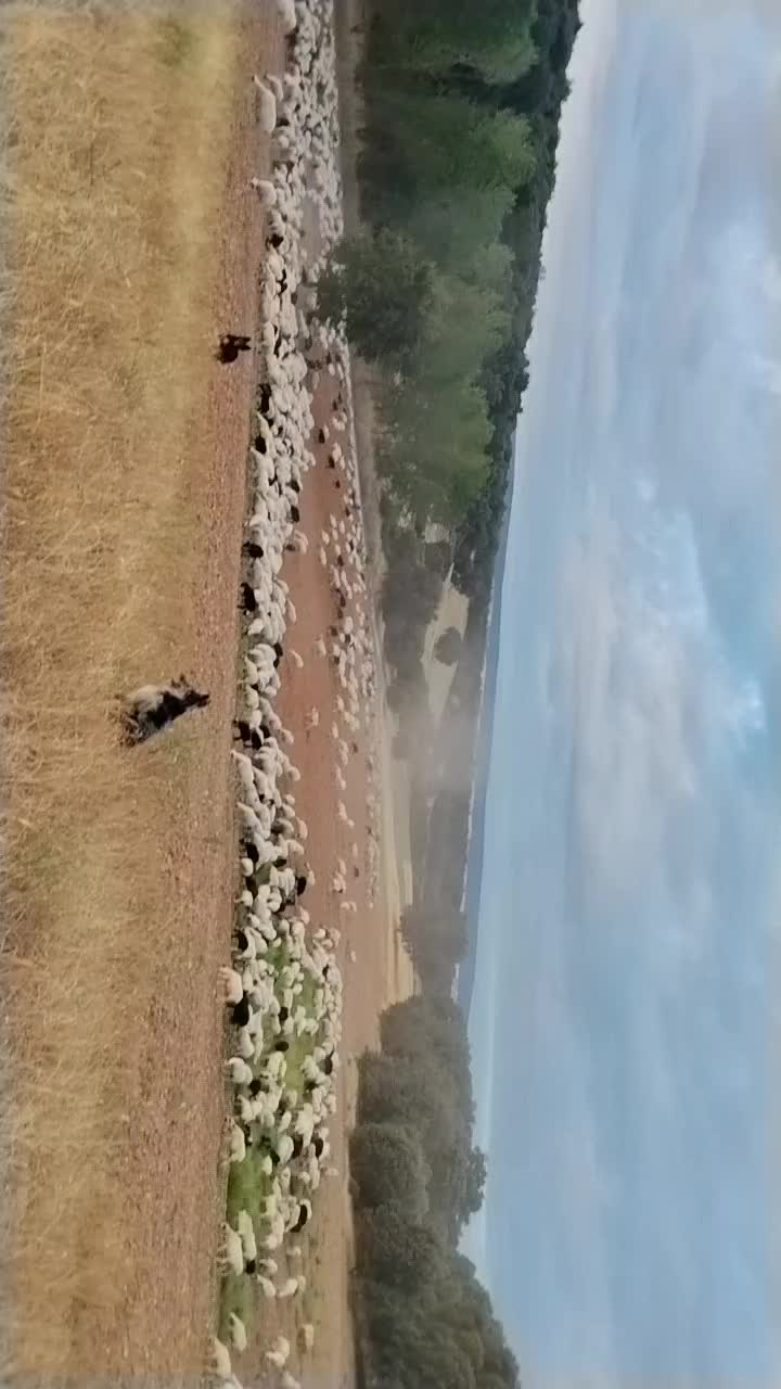 @Iv&aacute;n.