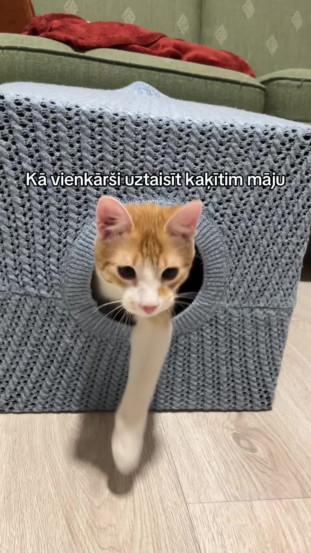 @Niima