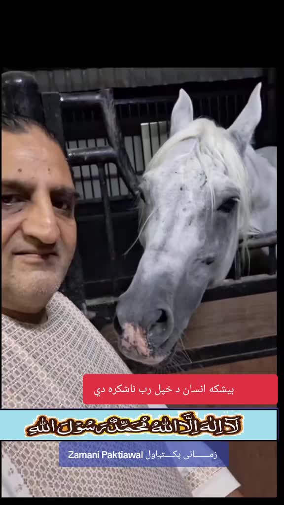 @Zamani Group Trading 🇦🇫