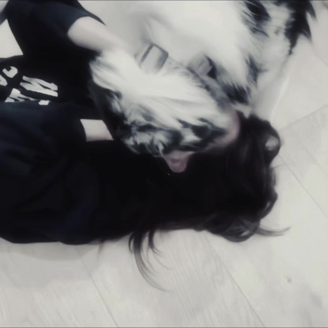 @๐ผ๐ฃ๐ฃ๐ฎ โ