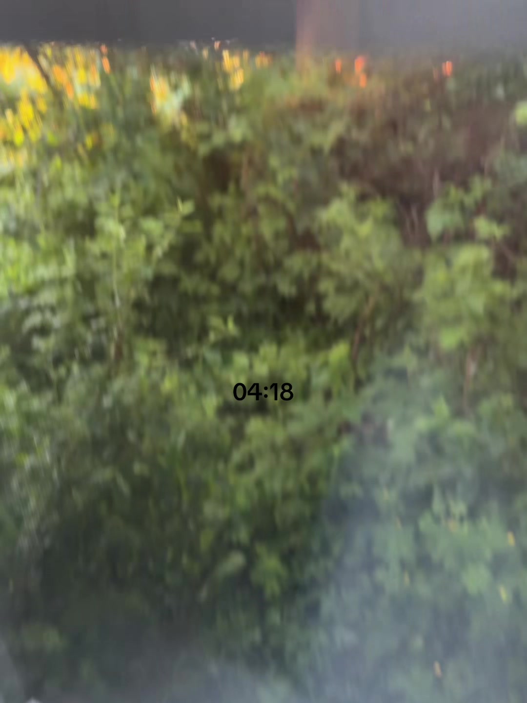 @██████