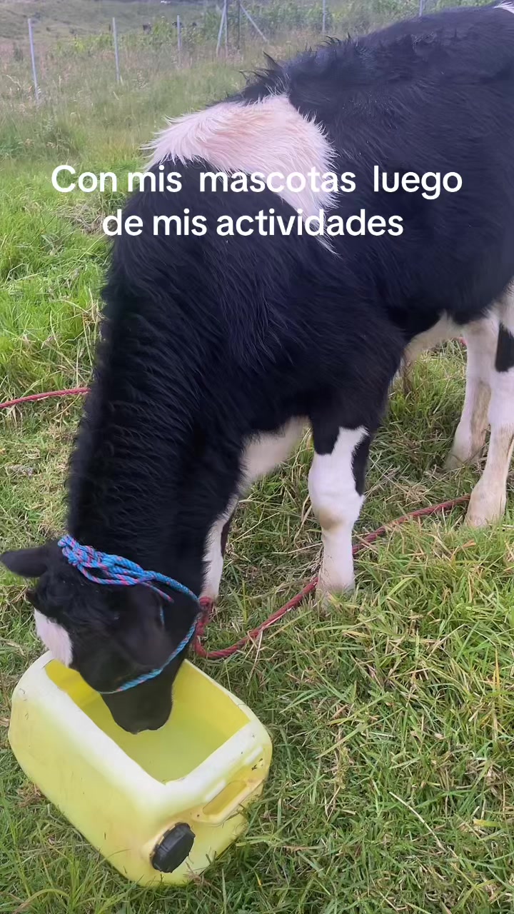 @M I Q