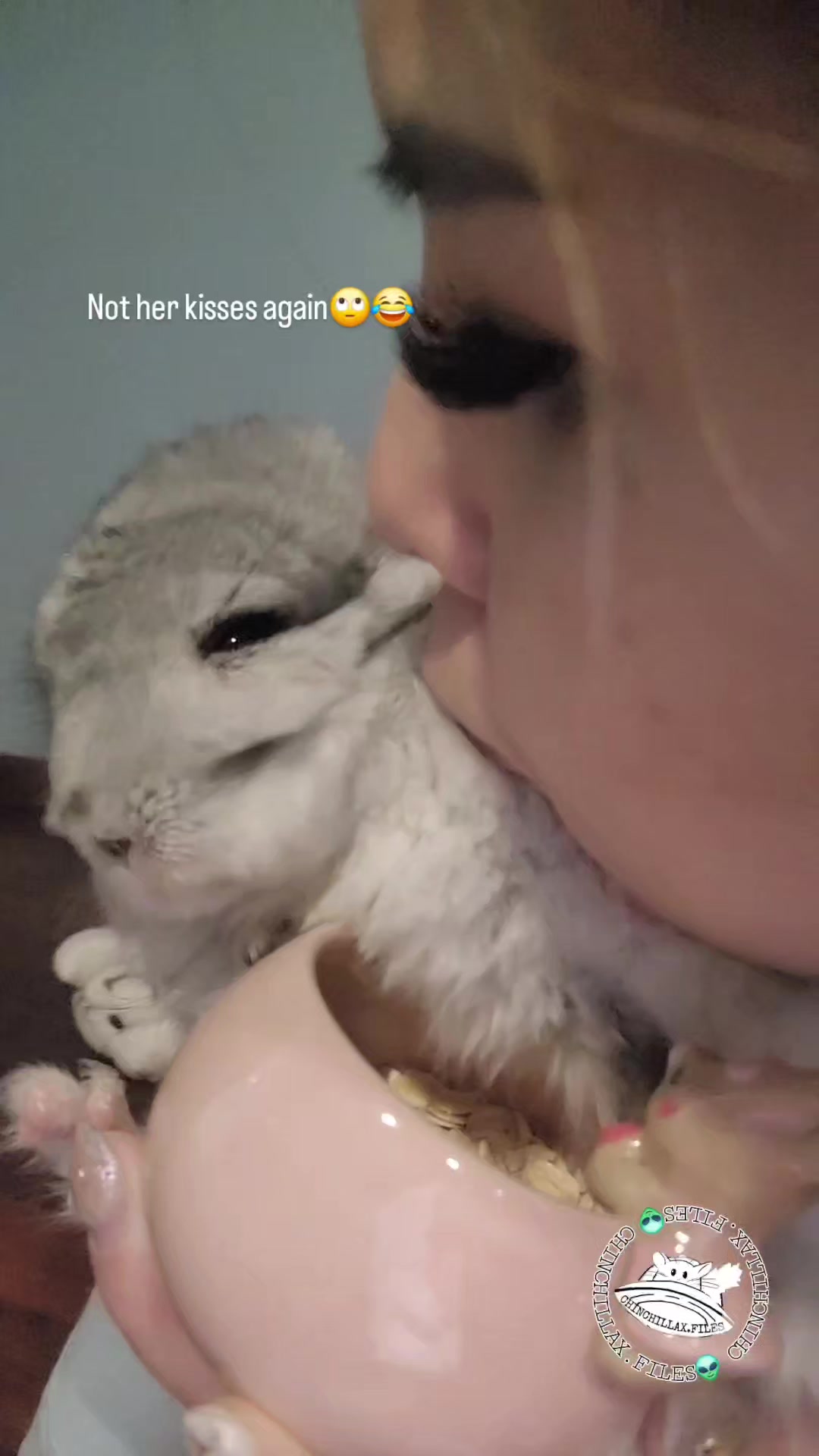 @Kuzco the Chinchilla