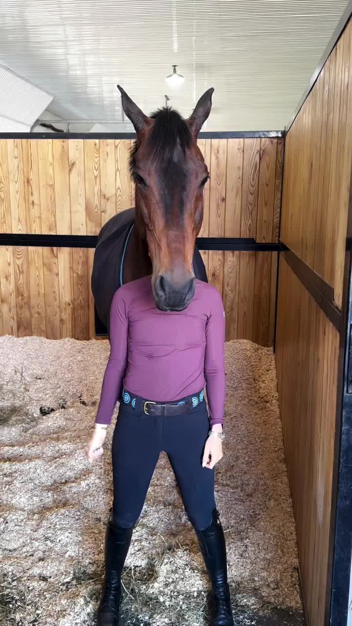 @Caballostrochadores