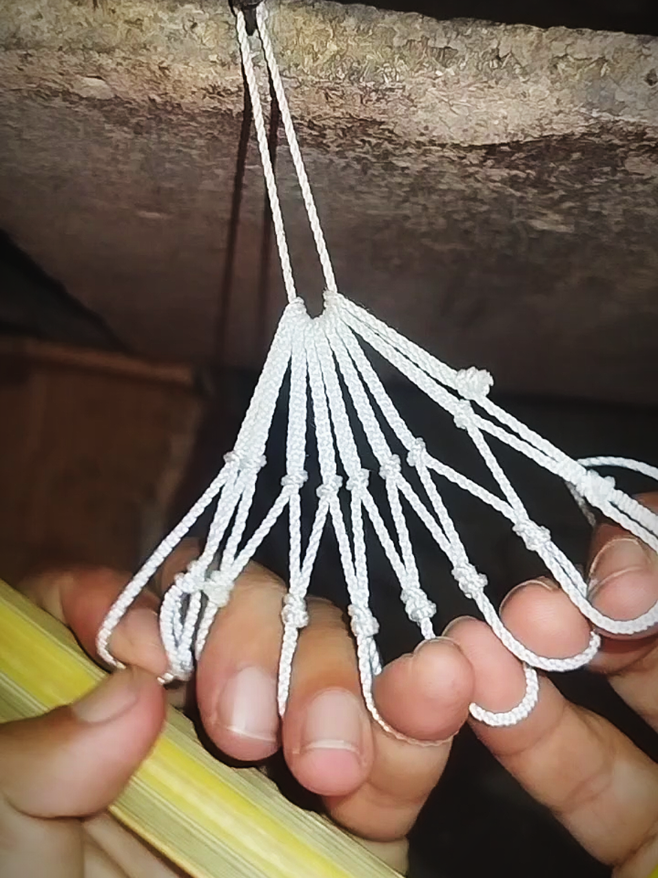 @Cast Net Fishing