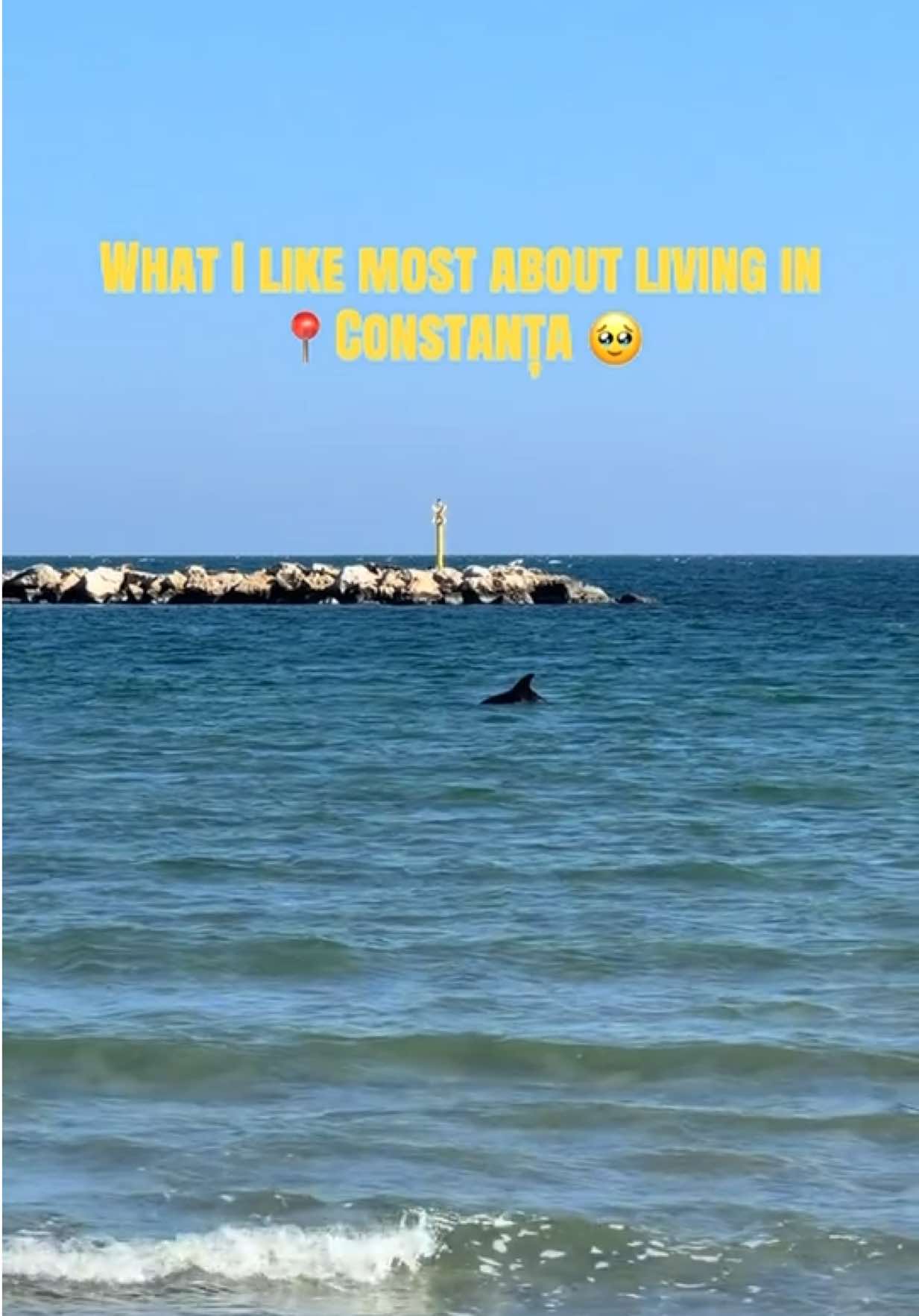 @am.tutunaru