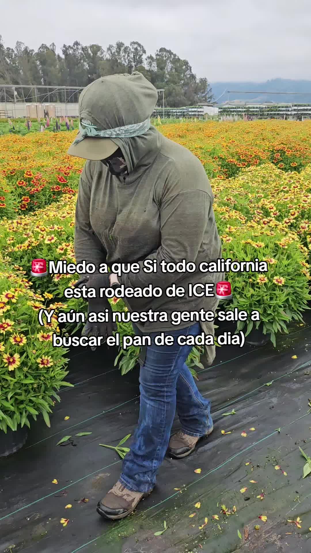 @Zapata831