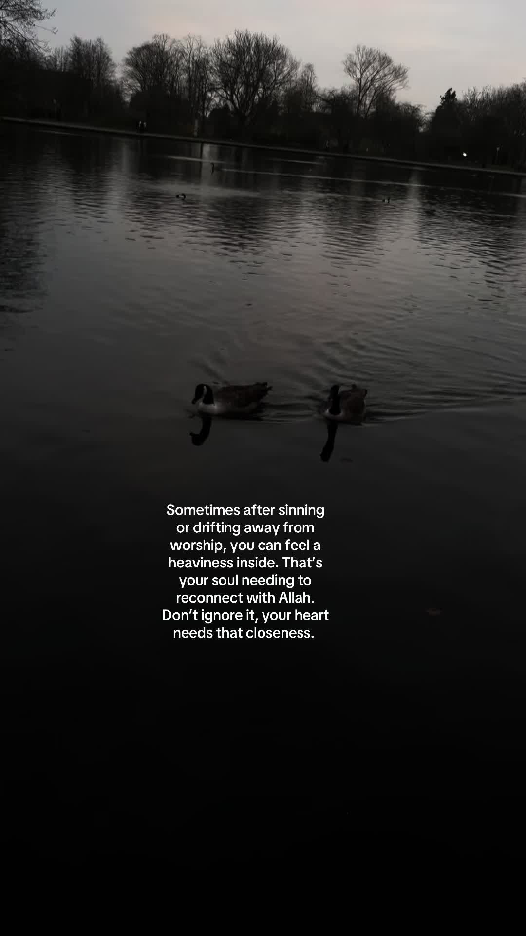 @No Doubt🕊️