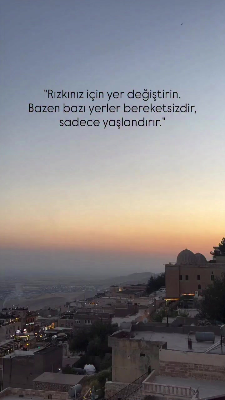 @mardingurbetcileri✅