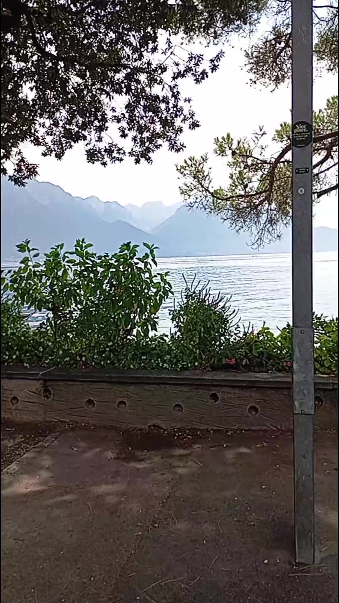 @🇧🇷🔹️꧁ঔৣPOBREঔৣ꧂🔹🇨🇭