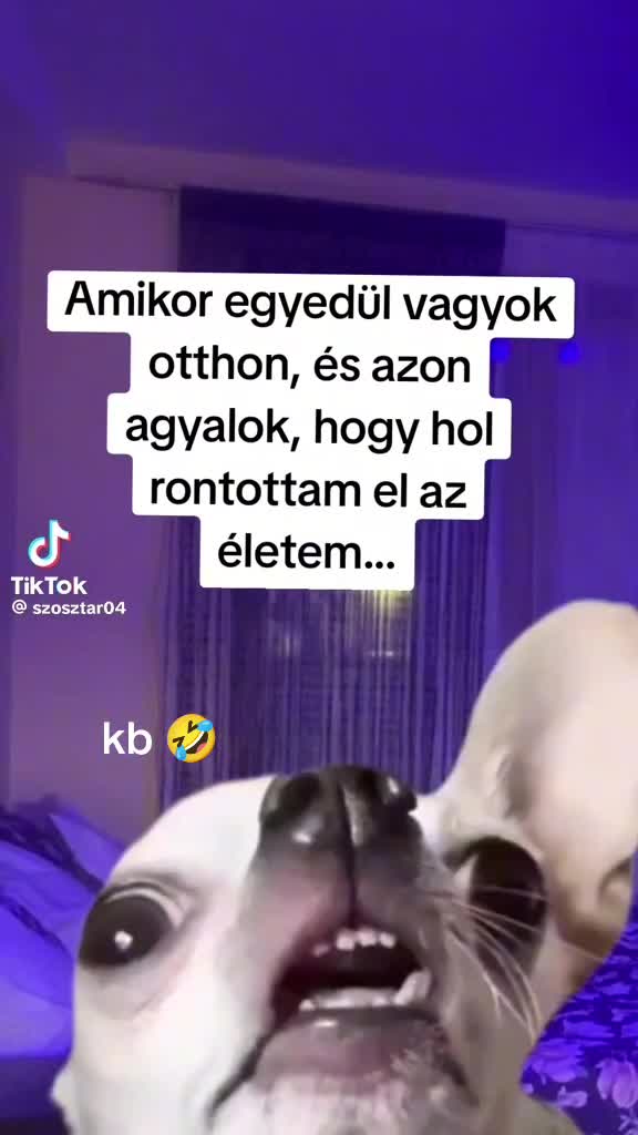 @marika