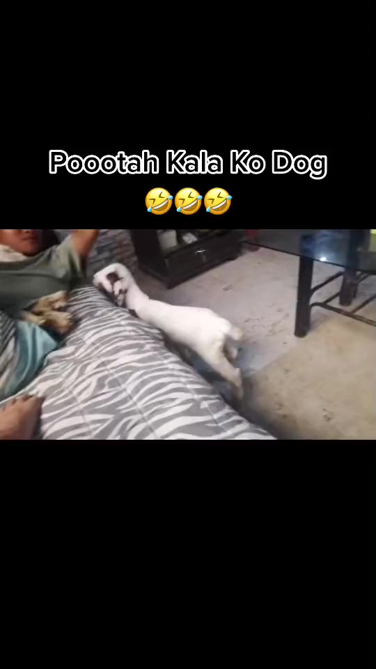 @NƎƎ˥∀Λ