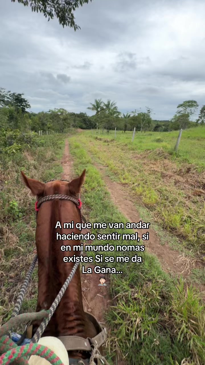 @Didier_🤠