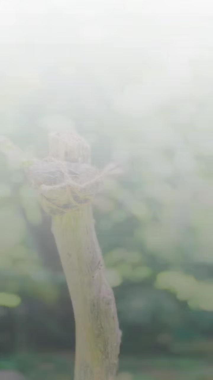 @Panchi_quotes 🥂🤍🌿