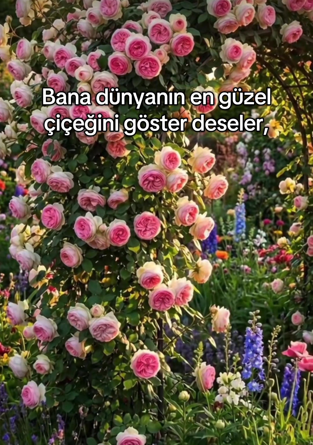 @İslam sayfası 🌸