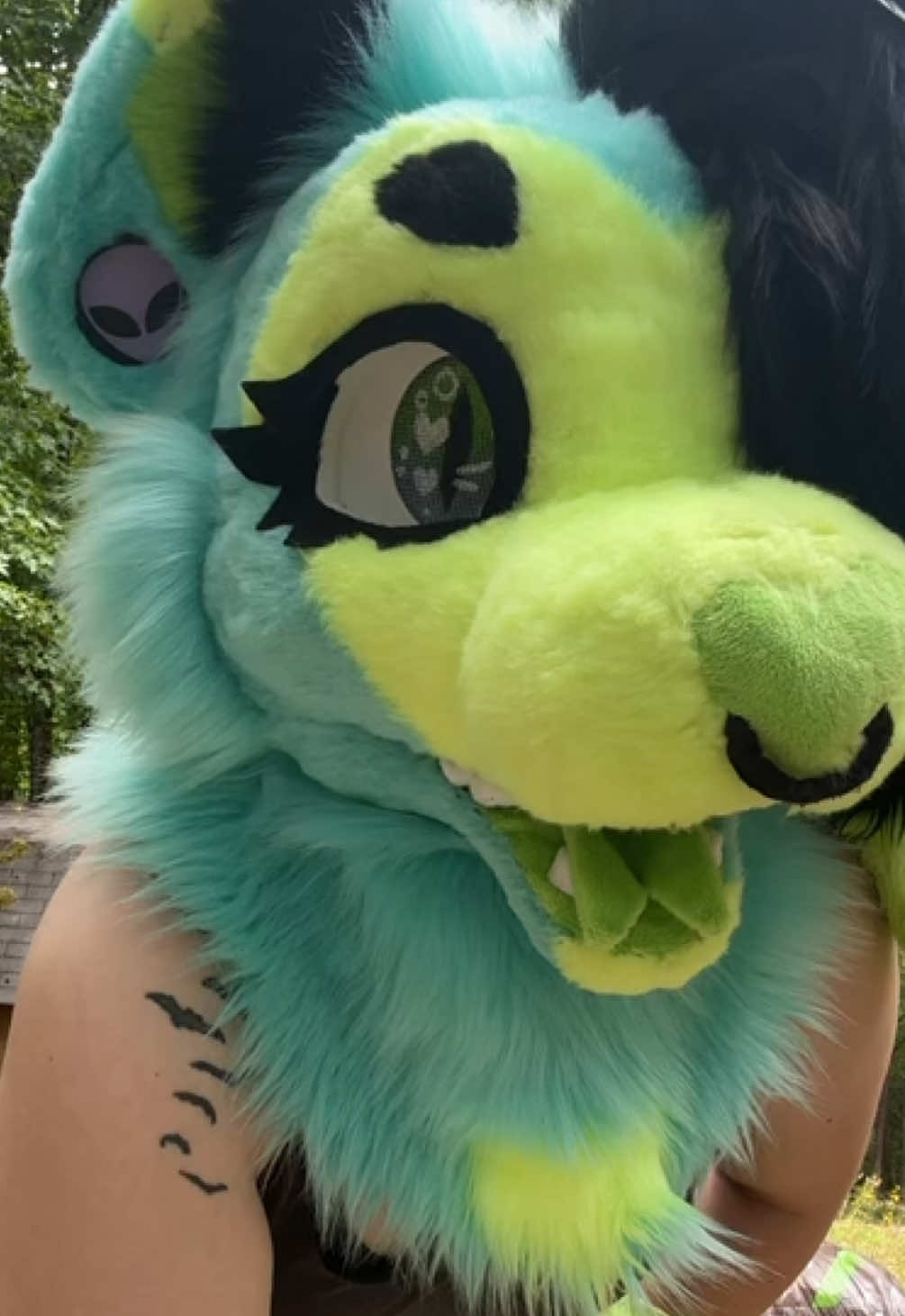 @🖤Eza the cat-lizard💚