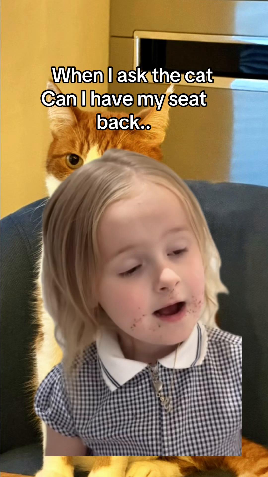 @😺Timothythecat0😺