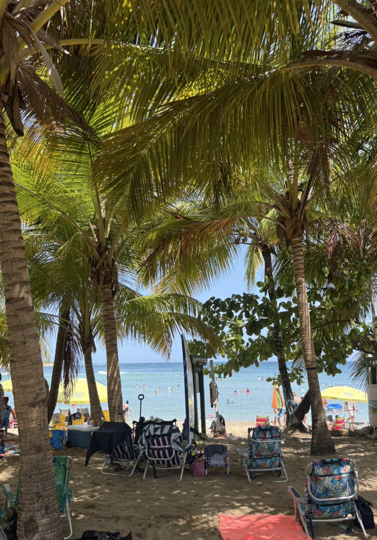 @Belton Tyrone 🇵🇷