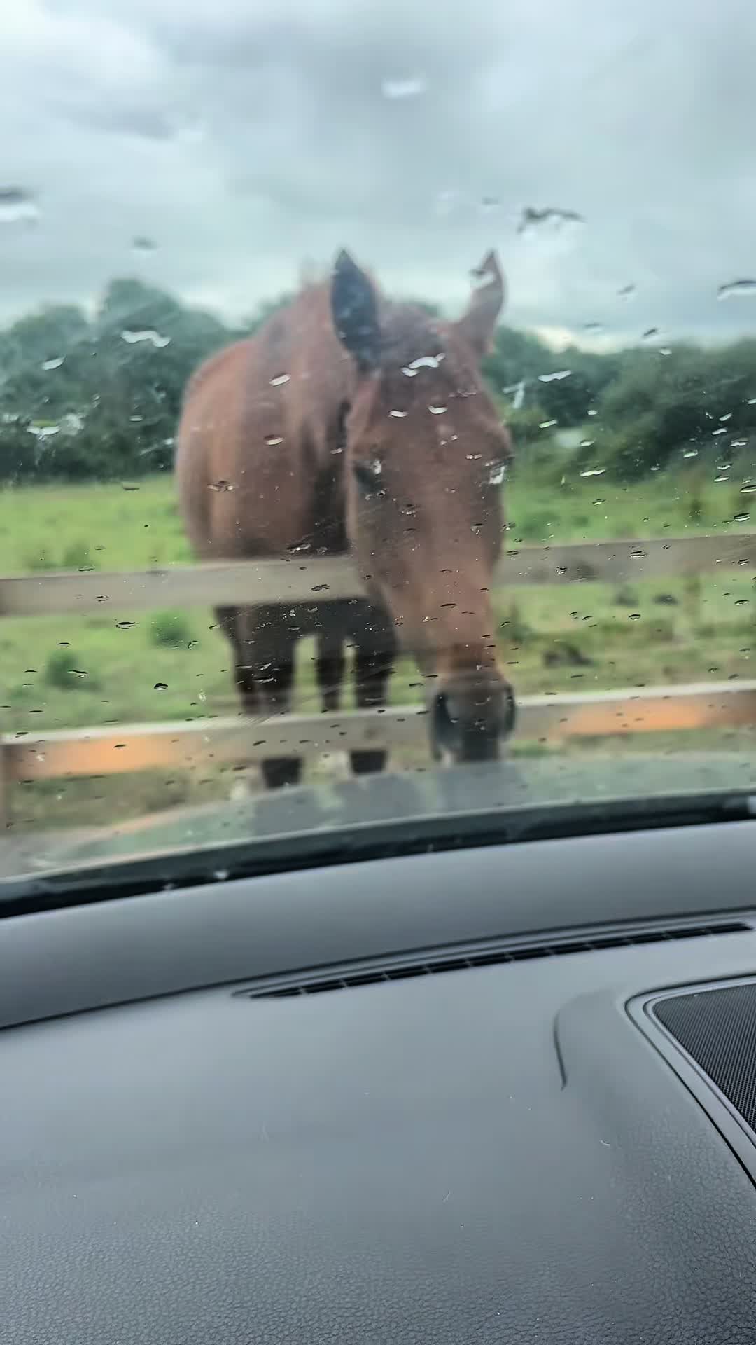 @Billie-Ann Griffiths