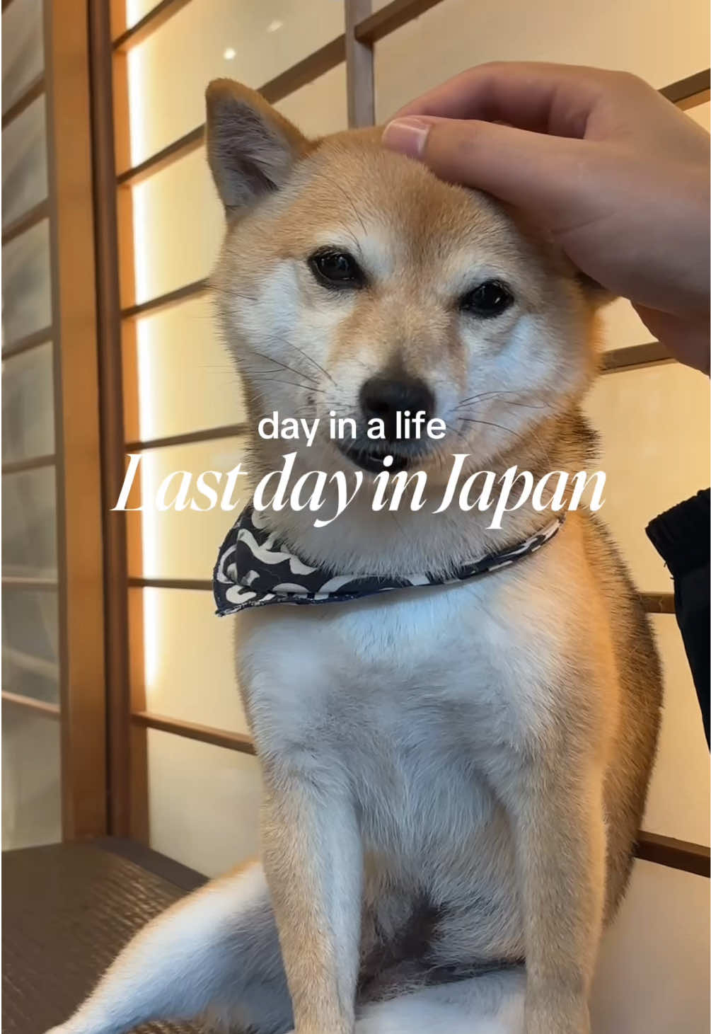 @๐๐๐๐๐