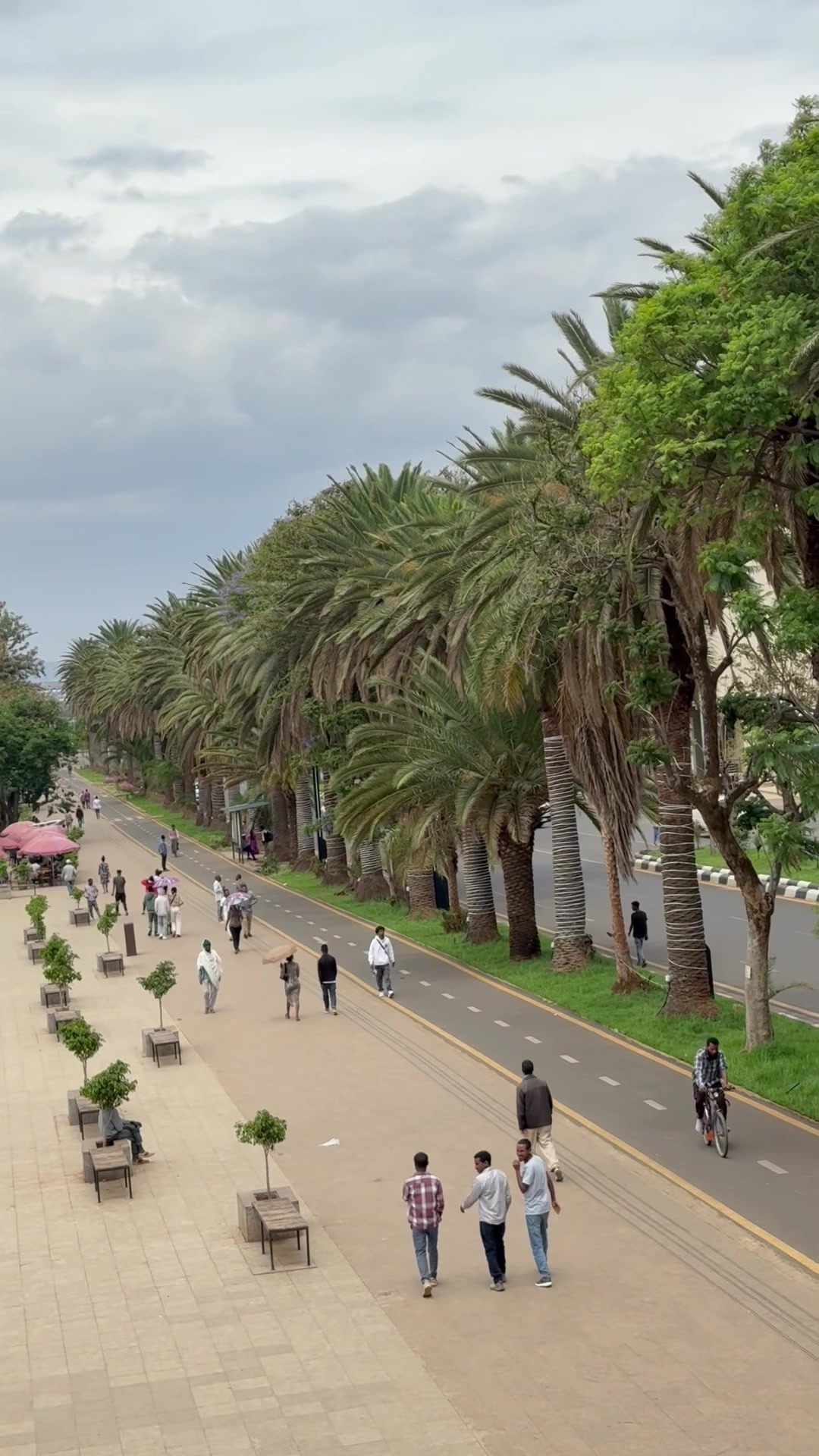 @ሽፈራው ዘለቀ