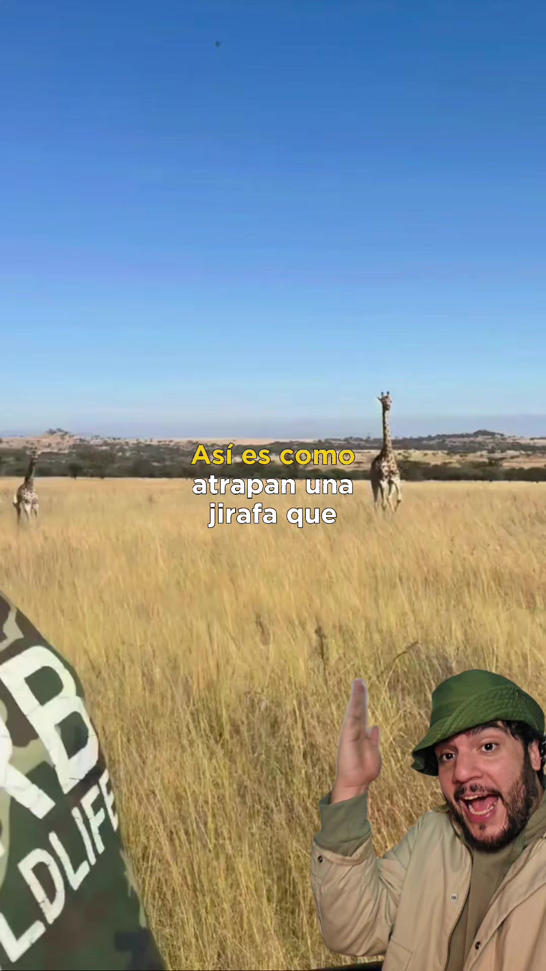 @Animaldex