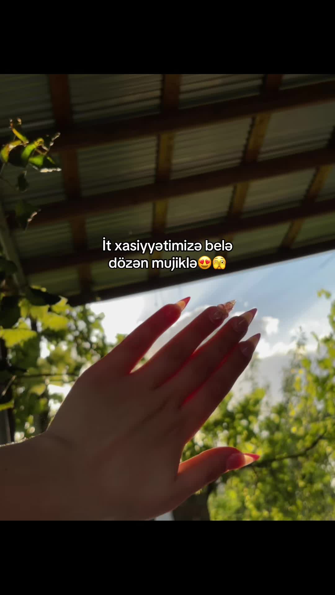 @novruzova424