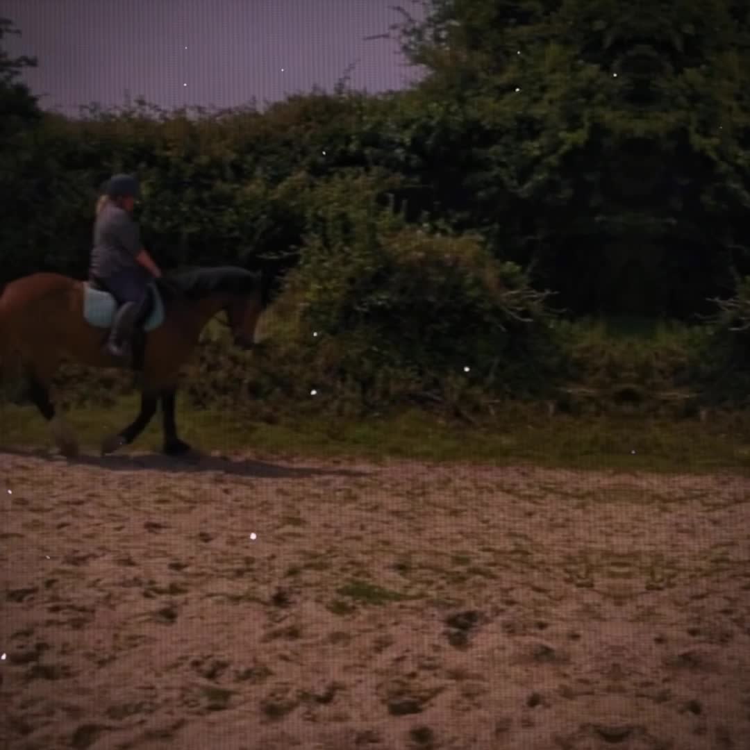 @bethknox098