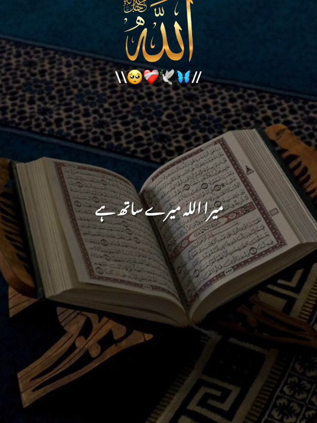@🌷𝗘𝗠𝗔𝗡🌷